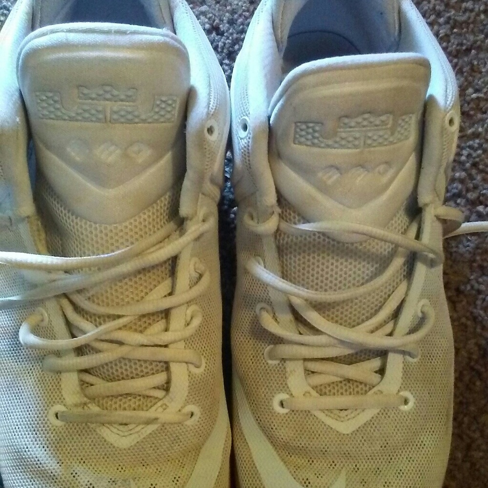 Nike LeBron witness zoom